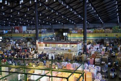 🐟 도쿄도 중앙 도매시장 오타 시장 (도쿄토추오오로시우리시조 오타시조)